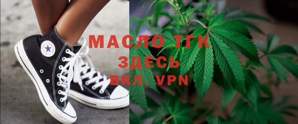 индика Михайловск