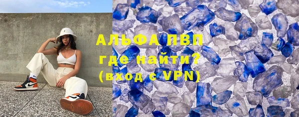 индика Михайловск
