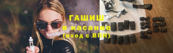 индика Михайловск