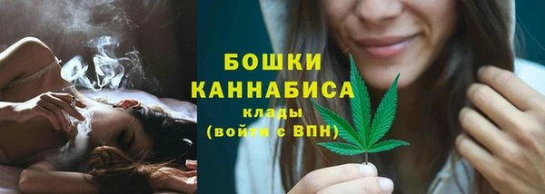 МДПВ Михайлов