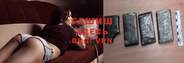 индика Михайловск