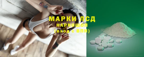 индика Михайловск