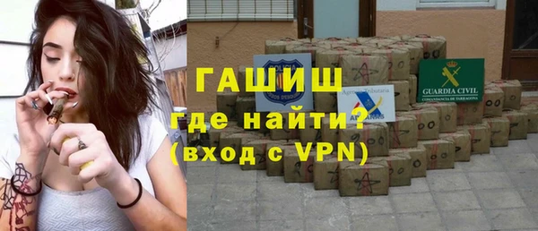 индика Михайловск