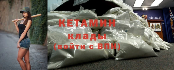 индика Михайловск