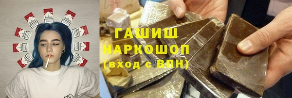 индика Михайловск
