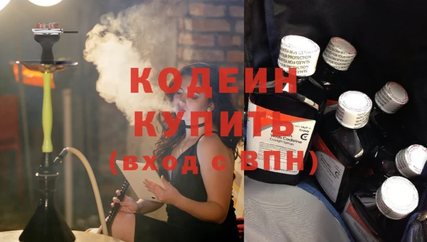 индика Михайловск