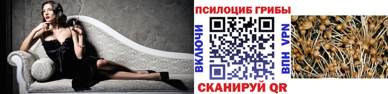сайты даркнета телеграм  купить закладку  Благовещенск  Галлюциногенные грибы Magic Shrooms 