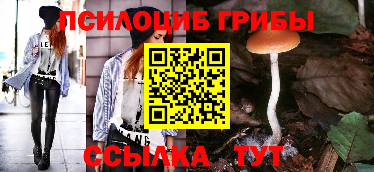 Псилоцибиновые грибы мицелий  Благовещенск 