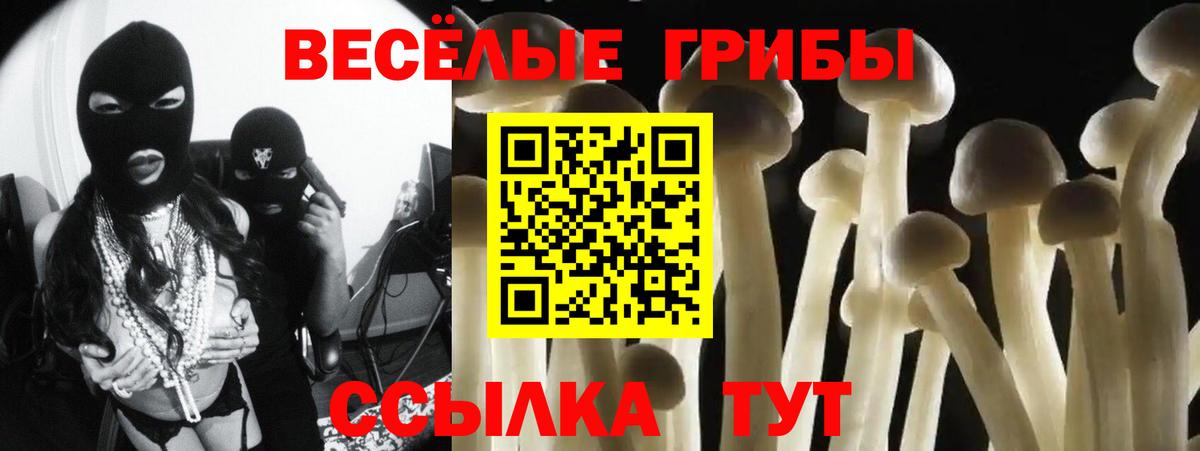 Псилоцибиновые грибы Psilocybe Благовещенск